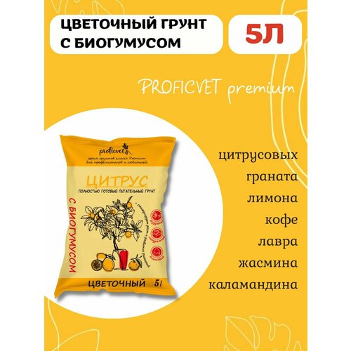 ������ ������ ����� ����� ��� ���������� ����������� 