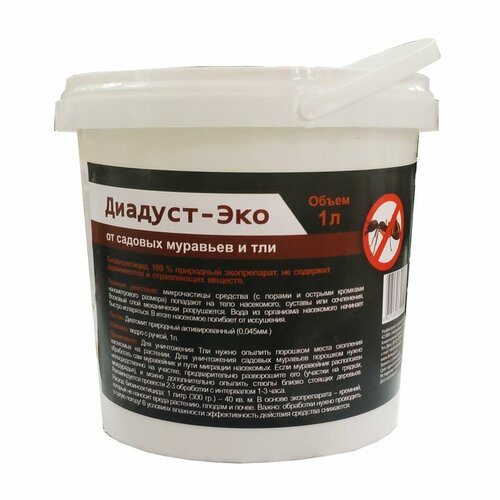 ������ ������ �������� �� �������� � ��� ������� ���, 1 � ����