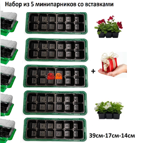 ������ ������ ����� ����-������ 5��. �� ���������. ����