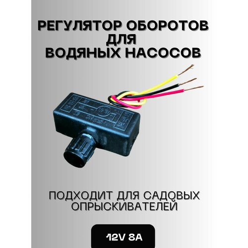 ������ ������ ��������� �������� ��� ������� ������� � ������� �������������� 12� 8� ����