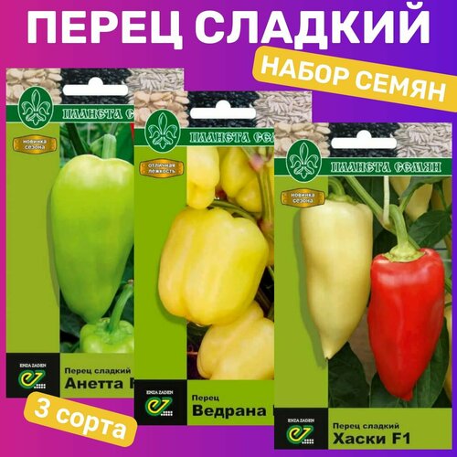 ������ ������ ����� ����� ����� ��������/ ������, �������, ����� ����