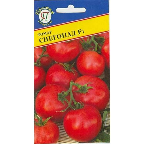 ������ ������ ������ ����� �������� F1 10�� ����� (�������) ����