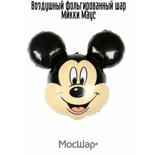 ������ ������ ��������� ��� ��������������, ���������� ������ ����� ����, 119 ��, ������ ����