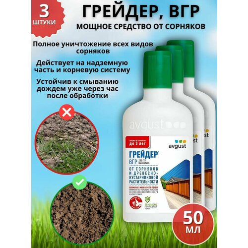 ������ ������ ������ �������� �������� �� �������� �������, ��� 50 �� 3 �� ����