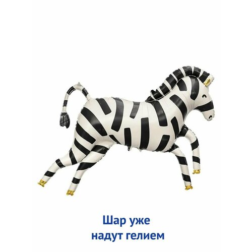 ������ ������ ��������� ��� � ������ �������������� ������ ������ ����� ����
