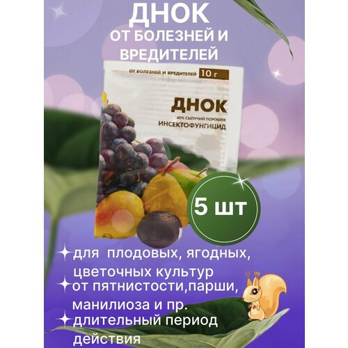 ������ ������ ���� ������ �������� �� ��������� � ���������� 5 �� ����