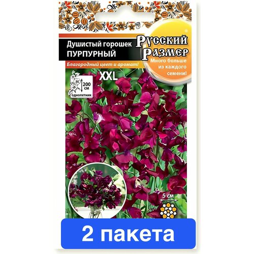 ������ ������ ����� �������� ������� ������� ������ 2 ������ ����