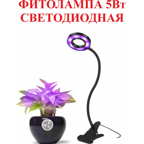 ������ ������ ��������� ������������, 5��.404 ����