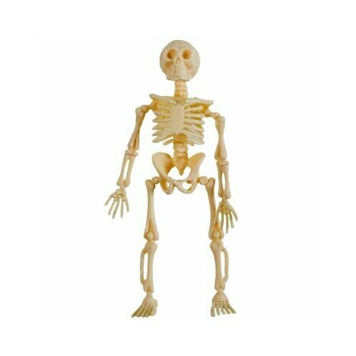 ������ ������ ������ ������� 13�� 3��/G ����