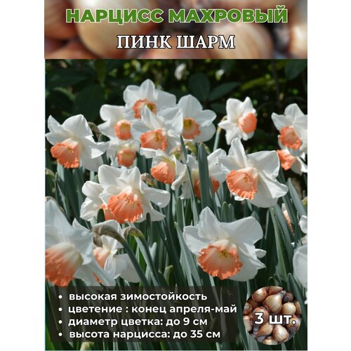 ������ ������ ������� ��������. �������� 3 ����� ����