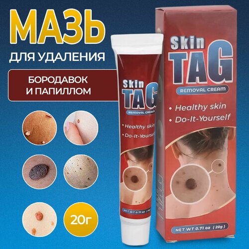 ������ ������ ���� ��� �������� ��������� � �������� 20� ����