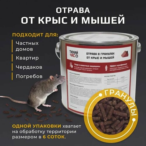 ������ ������ �������� �� �������� ����� ��� � �������� 1300�� ����