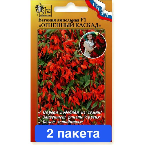 ������ ������ ����� ������� �������� ������ F1 ��������� 2 ������ ����