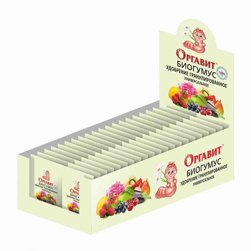 ������ ������ ������������ ��������������� ��������� ������� �������� 10�� ����