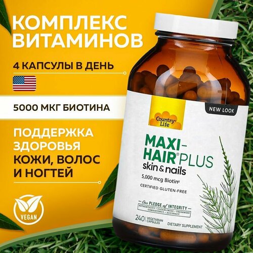 ������ ������ ���� ������ �����, ������ 5000 ���, 240 ������������ ������ ����