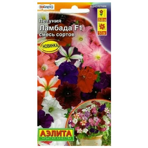 ������ ������ ������� �������������� ������� F1 ( 1 �������� ) , ����� ������� ����