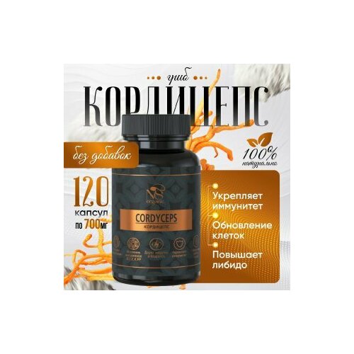 ������ ������ ��������� � �������� �� 700 ��, ��������� 120 ��. ����