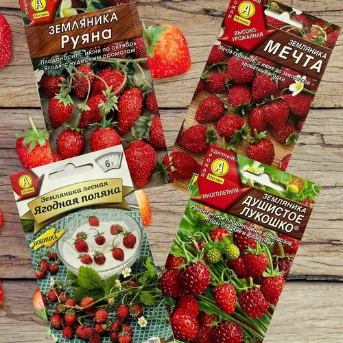 ������ ������ ����� ������ ���� ��������� 4 �������� ����