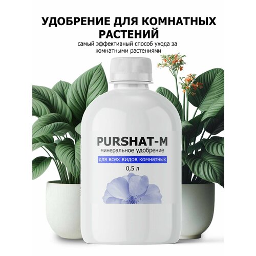 ������ ������ ��������� ��� ��������� �������� ������������� ������ (Purshat) 500 �� ����