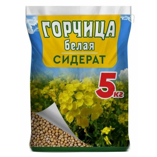 ������ ������ ������� ������ �������, ��� ������������, ������, �����������, ������� 5 ��. ����