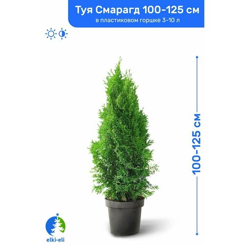 ������ ������ ��� �������� ������� 100-125 �� � ����������� ������ 3-10 �, �������, ������� ����� �������� ����