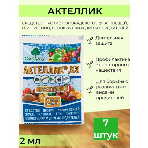 ������ ������ �������� ������ �������� �������� 7 �� ����