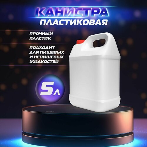 ������ ������ �������� ����������� � ������� ���� 5 ������ ����