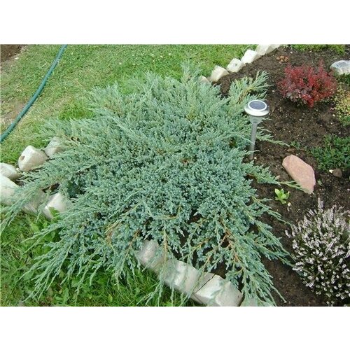 ������ ������ ������������ �������������� ��������� ����