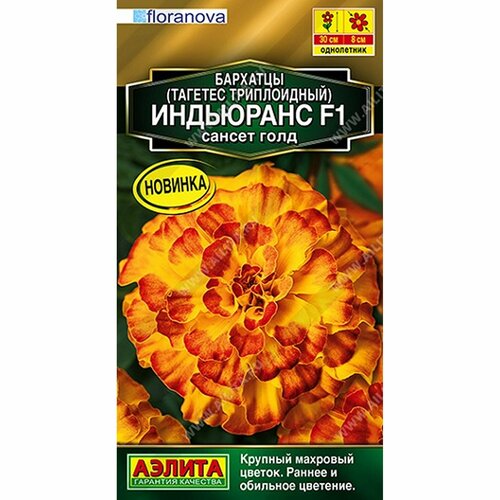 ������ ������ ������ �������� ��������� F1 ������ ����, ����������, (������) 5�� ������� ����� ����