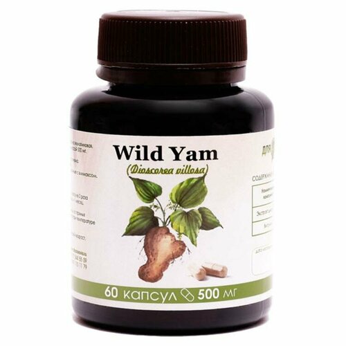 ������ ������ ����� ��� Wild Yam 60 �� ����