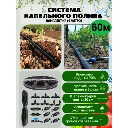 ������ ������ ��������� ����� �� 60 ������, ��� 30 �� ����