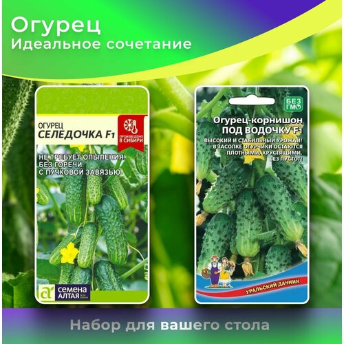 ������ ������ ������ 