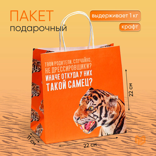 ������ ������ ����� ���������� ������� �������, 22 � 22 � 11 �� ����