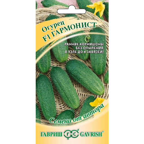 ������ ������ ������ ������ ��������� F1 10 �� ������������������ (������) ����� ����