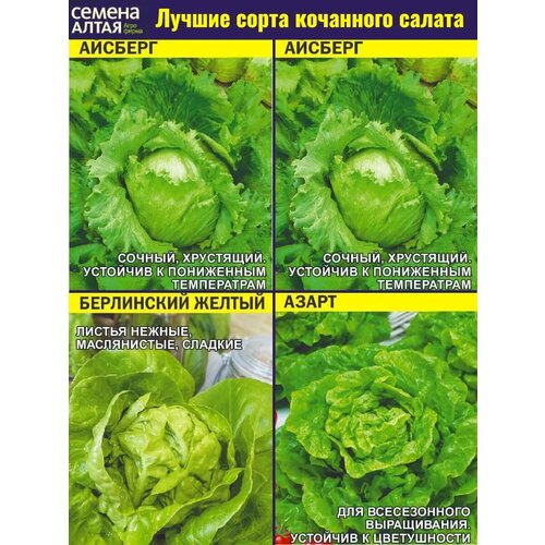 ������ ������ ����� ����� �������� ������� - 4 �����. ��������� ����� �� ��������� ������ � ������ ����