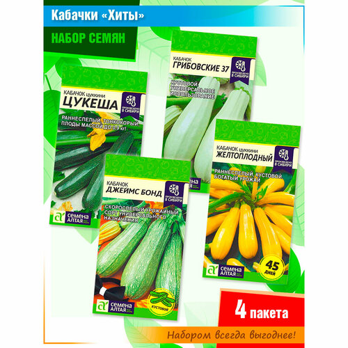 ������ ������ ����� ����� �������� 4� ������ 