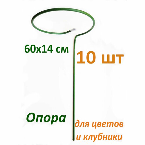 ������ ������ ����� ��� ������ 10 �� ����