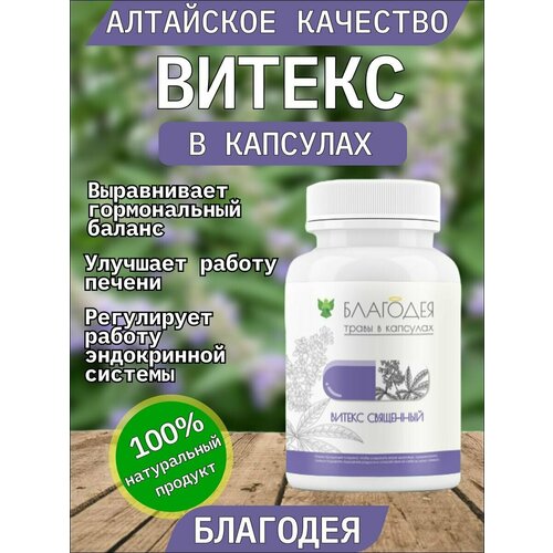 ������ ������ ������ � �������� 