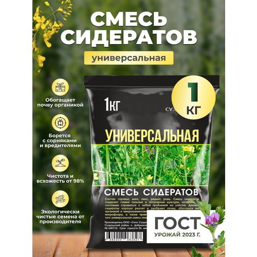 ������ ������ ����� ��������� 