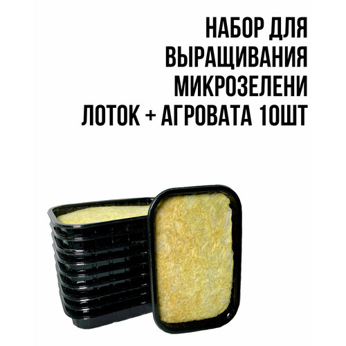 ������ ������ ����� ��� ����������� ���������� (��������+�����) 10�� ����