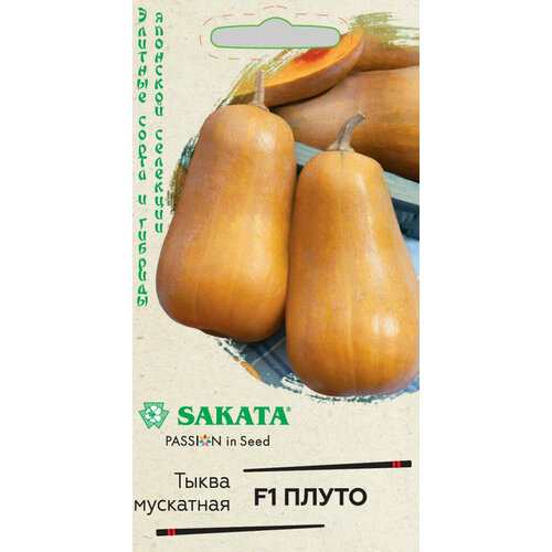 ������ ������ ������ ����� ��������� ����� F1, 3��, ������, ������� ����� � �������, Sakata, 5 ��������� ����
