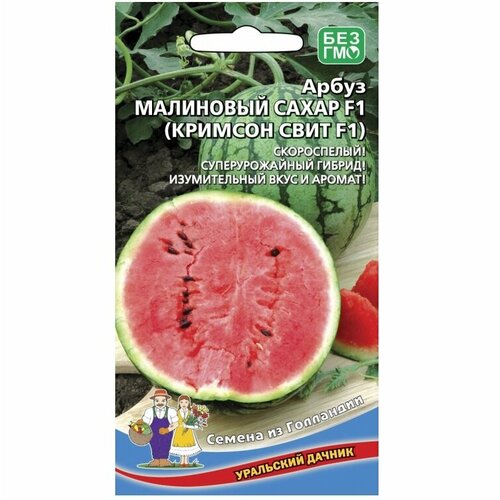 ������ ������ ������ ����� ��������� ����� (������� ���� F1) 10�� ������ (��������� ������) ����