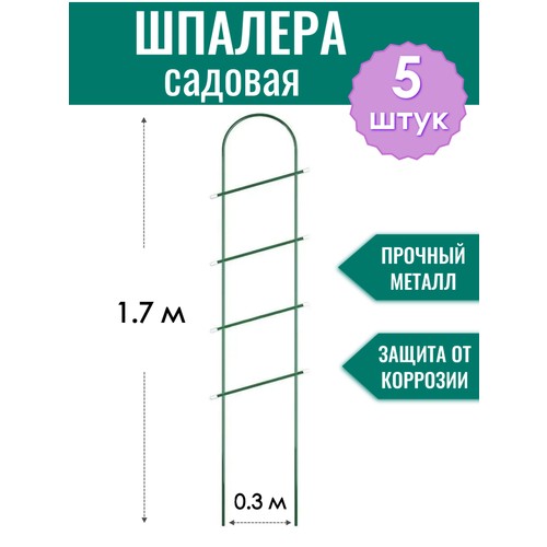 ������ ������ ������� ������������� ������� h-1.7 �, ������ d10 �� � ��� �������� (�� 5 ���� � ��������) ����