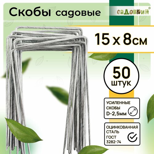 ������ ������ ����� ������� �-�����, ������ 15�� � 8��, d-2.5��, (50 ��) ����