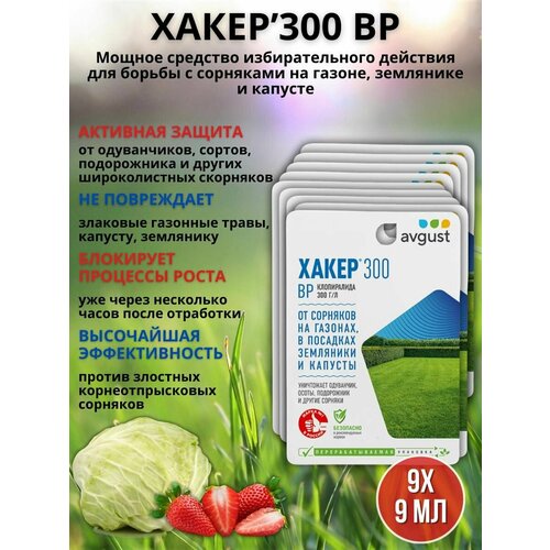 ������ ������ �������� �� �������� �� ������ �������� ����� 9 ��, 9 �� ����