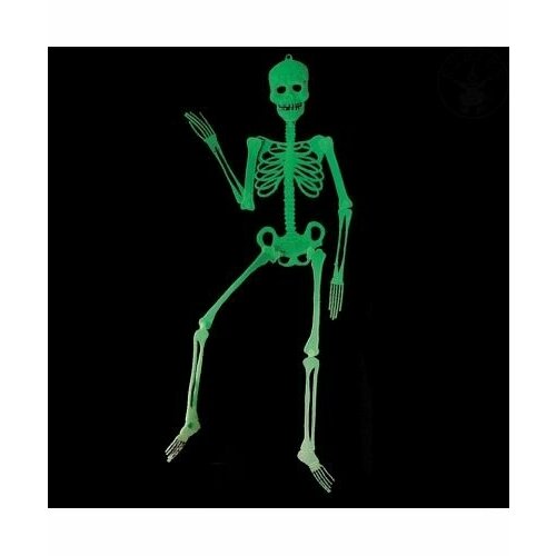 ������ ������ ������ ���������� ������� ����