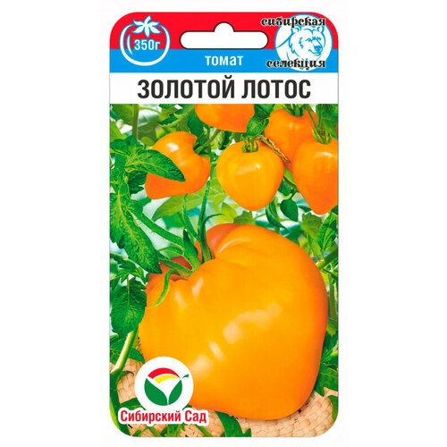 ������ ������ ������ ����� ������� ����� 20�� ��� (��������� ���) ����