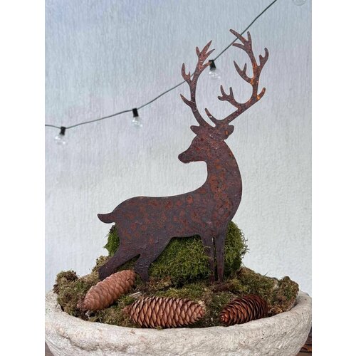 ������ ������ ������� ������� ��� ���� � ������� ����� �� ��������� ����