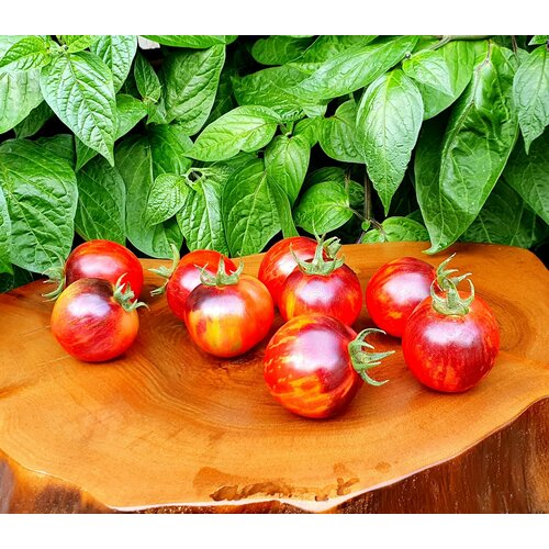 ������ ������ ������ ����� ��������� ������ (Marchenglanz) / Seeds And Goods / � �������� zip-lock ��� ���������� 10 ����� ����