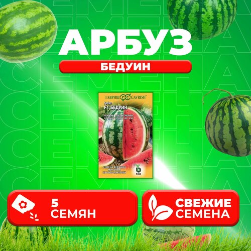 ������ ������ ����� 